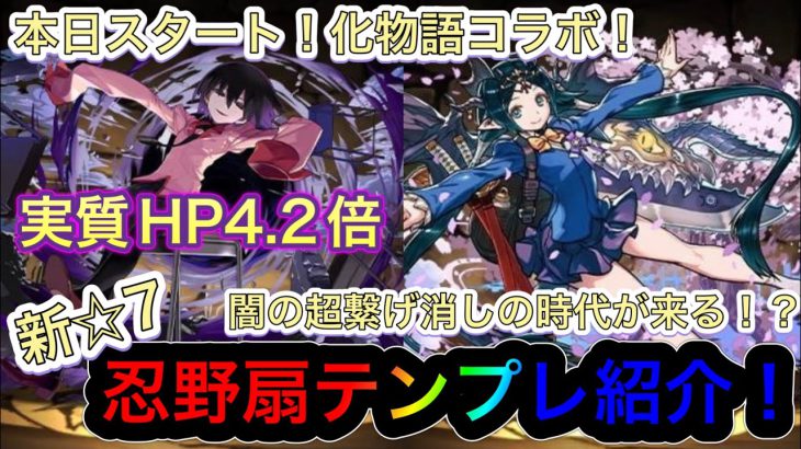 【パズドラ】本日スタート！化物語コラボから新☆7忍野扇テンプレ紹介！実質HP4.2倍に回復力も2.1倍の化物耐久！？