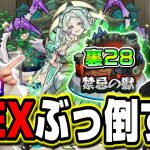 【🔴モンストLIVE】禁忌の獄 裏28を周回しまくって新EX涅槃寂静を攻略してやらぁ!!