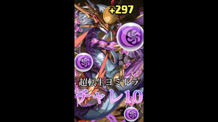 【パズドラ】超転生ヨミドラでチャレ10！#パズドラ #ヨミドラ