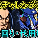 パズル簡単！タイムも余裕！ロイヤルオークPTで百式攻略解説！！【百式チャレンジ】【パズドラ】