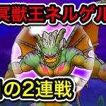 ドラクエウォーク【冥獣王ネルゲル】今日の2連戦【ドラゴンクエストウォーク】【DQW】【ドラクエ10】