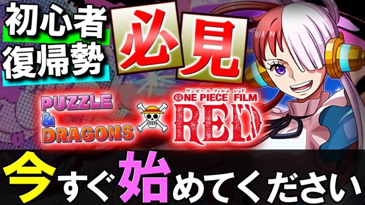 【※8月中に見てください】ONE PIECE FILM RED(ワンピース)コラボからパズドラを始める方は、絶対今月中に始めた方がいいです!!その理由とは？【パズドラ】