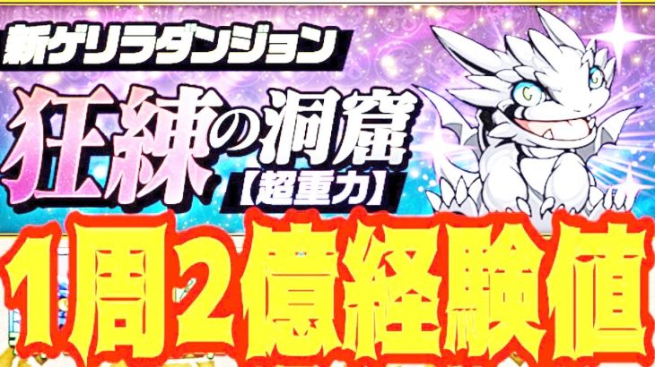 【やらんと損！】１周で２億稼げるの美味すぎん？！【パズドラ】