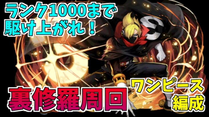 【パズドラ】ワンピースキャラで快適周回！スタミナ33でランク上げ放題！