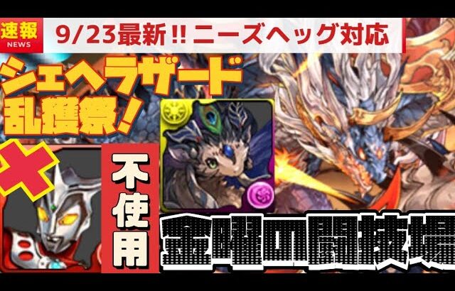 【9/23最新】シェヘラザードドラゴン乱獲ざます！金曜日の闘技場をシヴァドラゴンで。（パズドラ、ミアーダ、奇石、周回、編成、シェヘラザード＝ドラゴン、希石、デイトナ、攻略、曜日別闘技場）【パズドラ】