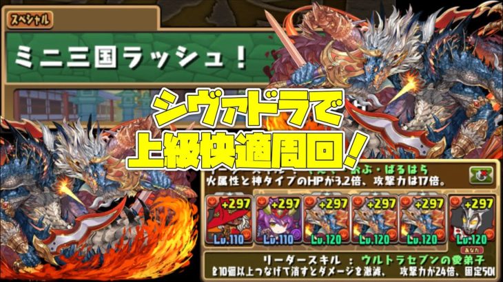 ミニ三国ラッシュ 上級をシヴァドラで快適周回！！ 【パズドラ】