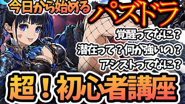 【パズドラ】だいたいわかる超！初心者講座【新規、復帰勢にも】