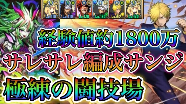 【パズドラ】(10倍時)経験値約1800万！サレサレ編成サンジAllワンピパで極練の闘技場！約5分で周回可能！！