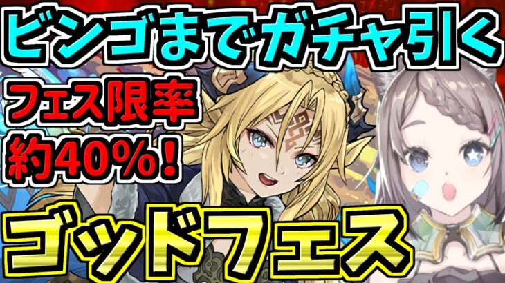 【ビンゴまでガチャ引く】ゴッドフェスで弾補充！フェス限率40％！その後は両サレ極練！【パズドラ】