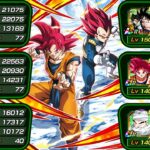 FULL SUPER TEQ MOVIE HEROES TEAM SHOWCASE! Dragon Ball Z Dokkan Battle