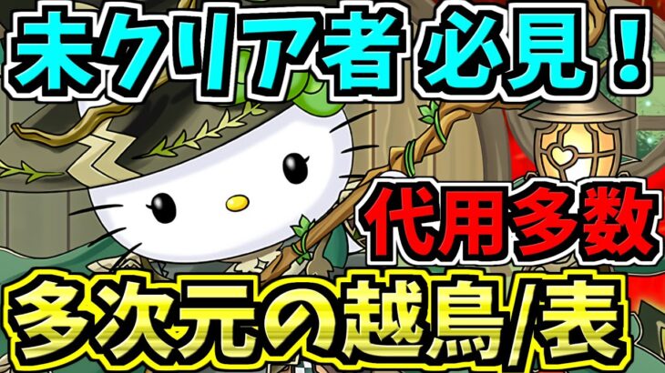 【簡単クリア】多次元の越鳥！アルジェキティ編成！代用・立ち回り解説！【パズドラ】