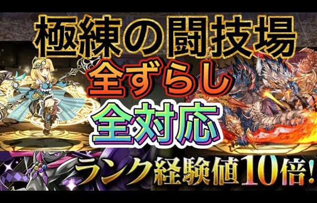 【パズドラ】極練の闘技場 シヴァドラ サレサレ 全ずらし周回 ランク上げ