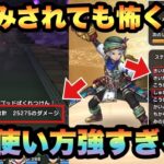 【ドラクエウォーク】この使い方で火力だせてこちらの被ダメージがショボ過ぎて相手にならない！？