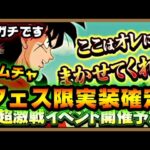 【ドッカンバトル 5060】ドカバト界最大級の事件だぞ！次のフェス限はまさかのヤムチャ様！【Dokkan Battle】