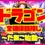 【ロマサガRS】【単発がちゃ】ドラゴン全確保目指し～たあこ始動～【No.334】