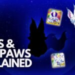 Fous & Fou Paws Explained – When to burn and use them!