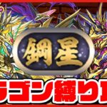 【パズドラドラゴン縛り】『鋼星』チャレンジ！ドラゴン縛りで超高度ダンジョン絶対勝つぞ！！