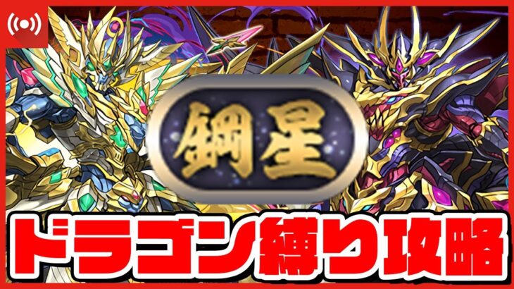 【パズドラドラゴン縛り】『鋼星』チャレンジ！ドラゴン縛りで超高度ダンジョン絶対勝つぞ！！