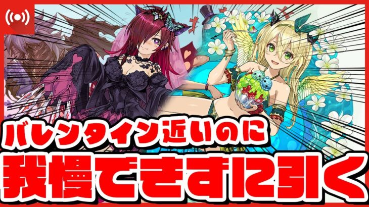 【パズドラドラゴン縛り】バレンタインなんかしらねぇ！！ゴッドフェス回すぞ！！！！！