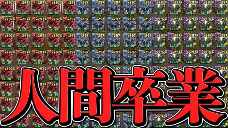 パズドラを極めた真のガチ勢達がヤバすぎる。【パズドラ】