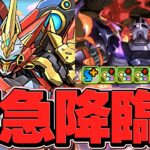 緊急出現！ジオング降臨ウルフデイトナ初見攻略！新キャラ性能解説！報酬激ウマ！【パズドラ】