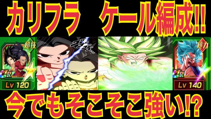 【ドッカンバトル】いざ最強へ‼︎カリフラケール編成の現状がヤバすぎる【Doragon Ball Z Dokkan Battle】