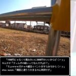 【ドラクエウォークLive】WALKフェス3.5周年記念イベント【ニコ生同時配信】