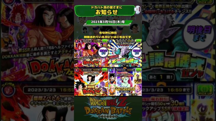 【ドッカンバトル】定時お知らせ #shorts #ドカバト#ドッカン#ドッカンバトル#ドラゴンボール#dokkanbattle @ドッカンバトル59ch