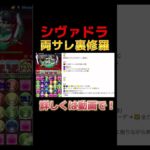 【パズドラ】シヴァドラ両サレ裏修羅でランク上げしましょう！ #パズドラ #ガンダム