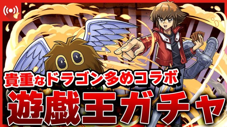 【パズドラドラゴン縛り】ドラゴン縛り待望(?)の遊戯王コラボ！ドラゴンタイプ＆武器狙いでガチャを引くぞ！！