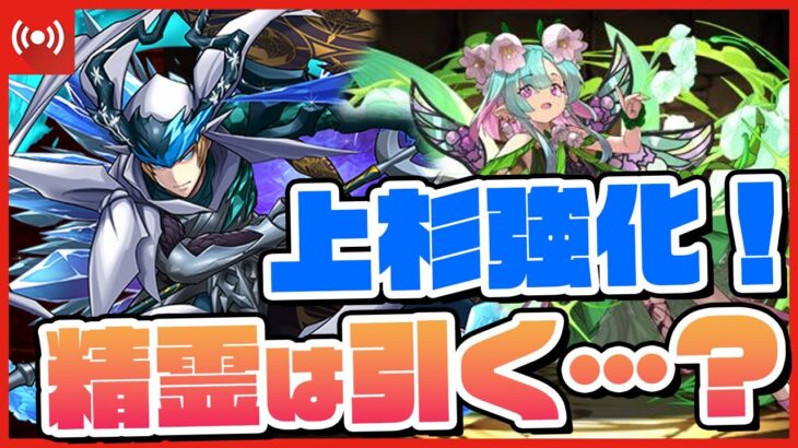 【パズドラドラゴン縛り】上杉の経験値倍率が1.7倍になる!?精霊は引くのか？色々やる配信