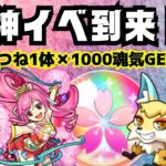 🔴【モンスト】#2 こんきつねシフト消化　2023/4月【Kチャンネル】 のLIVE配信