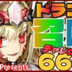 【FGO】ドラコーめっちゃ可愛い！！！逃げ場無し！なけなしの66連ガチャ！！！