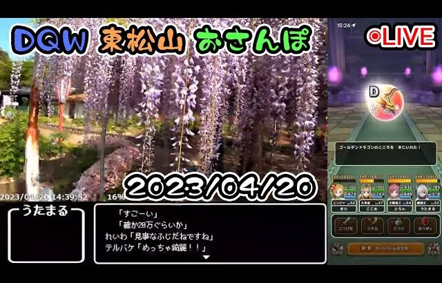 【ドラクエウォークLive】東松山お散歩雑談【ニコ生同時配信】