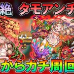 【モンストLive】ついに水転送壁接待！新爆絶『タモアンチャン』初日から運極目指してガチ周回していく！【しゅんぴぃ】