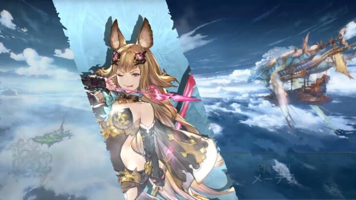 【PS4版は水着はありませんか・・？】グランブルーファンタジー ヴァーサス　グラブルVS　GBVS　PS4　GRANBLUE FANTASY VERSUS