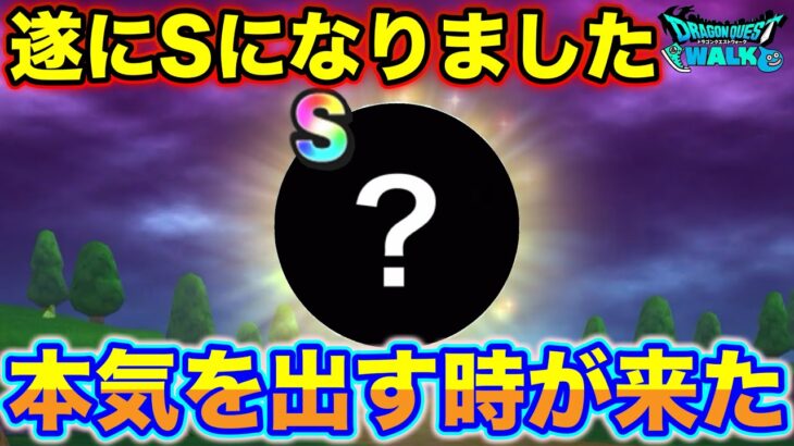 【ドラクエウォーク】超貴重な効果が付いています！さすがに本気出してS作りました。