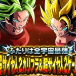 【ドッカンバトル生配信】昨日やれなかった極限Zバトルが難しいらしいね【DRAGONBALL Z Dokkan Battle】