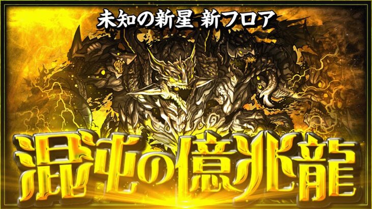 最速クリアを目指せ！混沌の億兆龍「億兆」チャレンジ！【パズドラ】