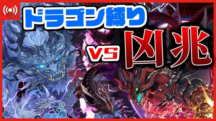 【パズドラドラゴン縛り】ドラゴン居ないから放置してた学園ガチャ、滑り込みで回します