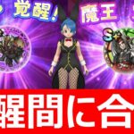 【ドラクエウォーク】ピサロ＆マスタードラゴン邪の覚醒ペースを確認しようぜ!!【ギガモンスター＆魔王覚醒】