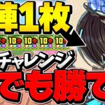 【17分】自軍ナツル1枚で億兆チャレンジ攻略！誰でも勝てます！代用、立ち回り解説も！【パズドラ】