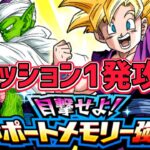 【ドッカンバトル】目撃せよ！サポートメモリー強化『奇妙な巡り合わせ』 全ミッション1発攻略解説！【DragonBallZDokkanBattle】