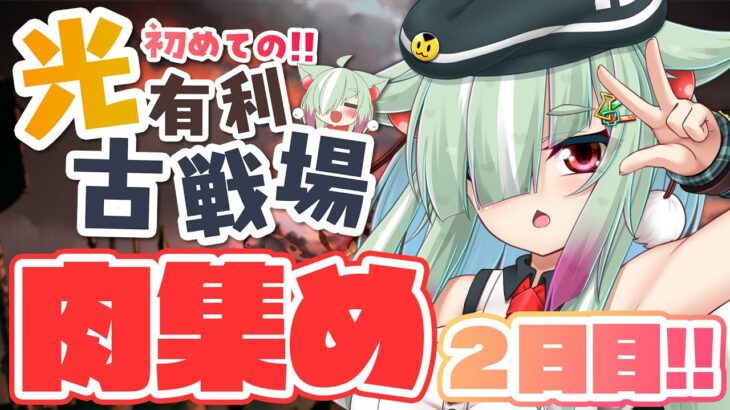 【グラブル/完全初見🔰】光古戦場「どうも、本日の肉集めのお時間です🍖」/予選2日目【玉響憩/Vtuber】