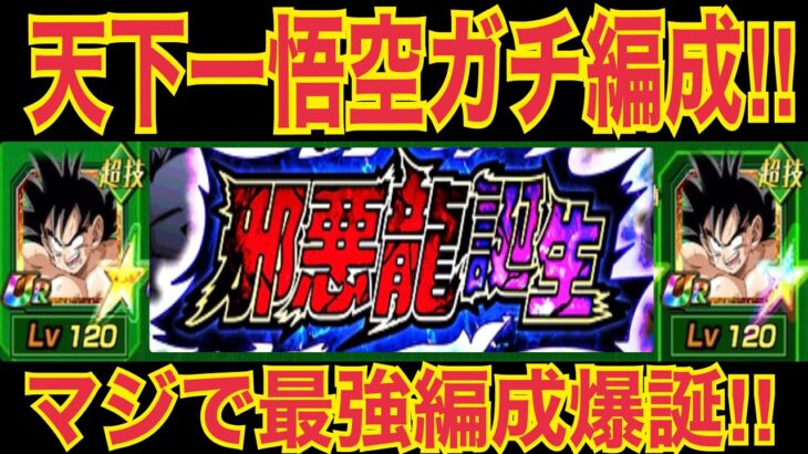 【ドッカンバトル】ガチの最強へ‼︎天下一悟空編成が強すぎる【Doragon Ball Z Dokkan Battle】