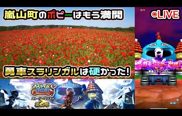 【ドラクエウォークLive】スライム冒険譚第二章と新メガモン「勇車スラリンガル」と近場を自転車でうろうろ【ニコ生同時配信】