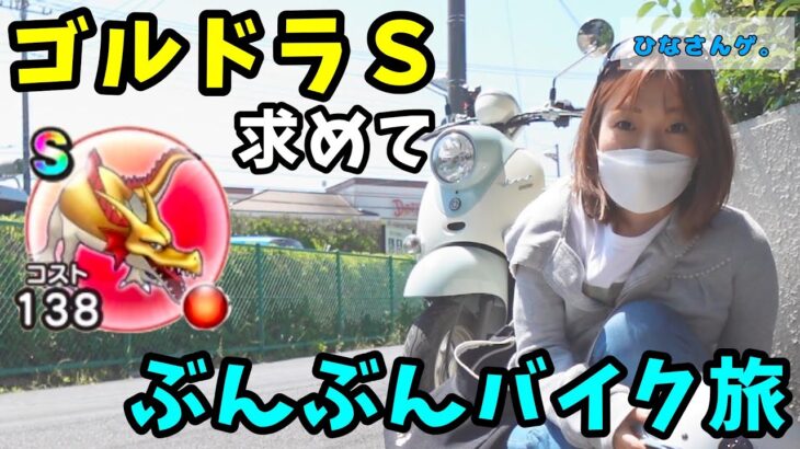 ゴールデンドラゴンSを求めてバイク旅してたらトリビアできた【ドラクエウォーク_vol.41】