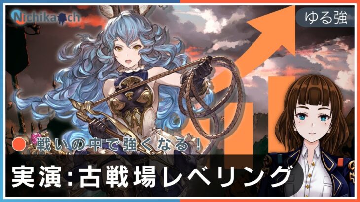 【光有利古戦場】グラブル:古戦場でレベリング育成講座講座【グランブルーファンタジー】