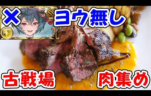 【グラブル】光古戦場 肉集め ヨウが居なくて悲しい（ライブ配信）（グラブル）「グランブルーファンタジー」