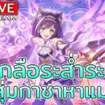 Princess Connect! Re: Dive (TH) – ไลฟ์ที่205 ทุบโต๊ะกดกาชามาแล้ว วันนี้จะพาเพื่อนๆมาละลายเพชรกัน